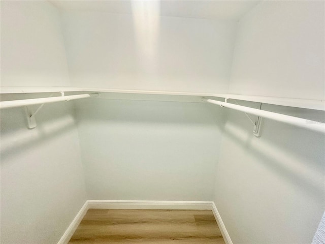 6344 Newtown Cir Unit B2, Tampa, FL 33615 - photo 11