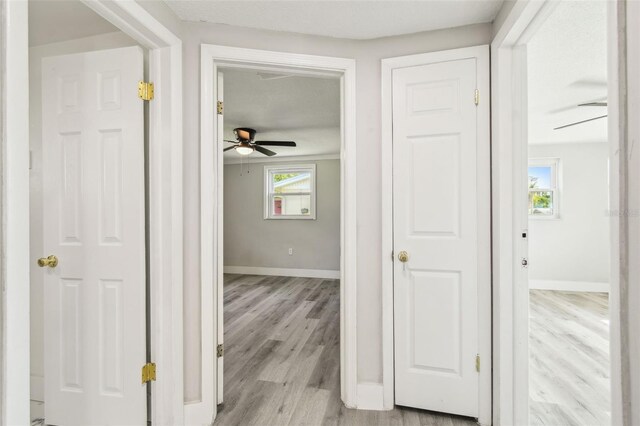 10831 Manchester Rd, Port Richey, FL 34668 - photo 25