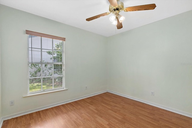 1741 Elk Spring Dr, Brandon, FL 33511 - unfurnished room with light wood finished floors, healthy amount of natural light, and ceiling fan