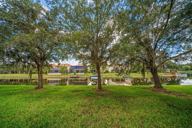 10921 Cory Lake Dr, Tampa, FL 33647 - photo 12
