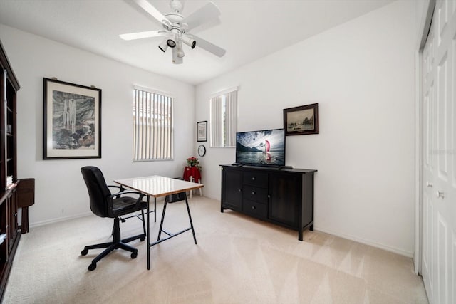 10921 Cory Lake Dr, Tampa, FL 33647 - photo 21