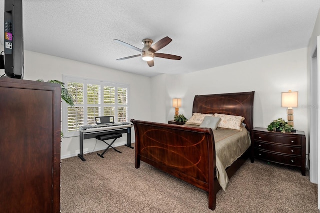 507 S Willow Ave, Tampa, FL 33606 - photo 8