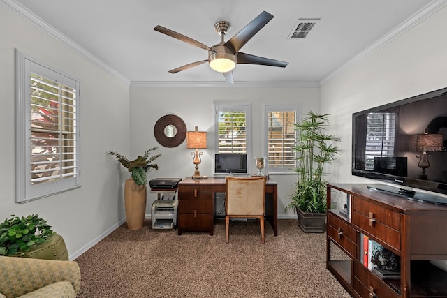 507 S Willow Ave, Tampa, FL 33606 - photo 10