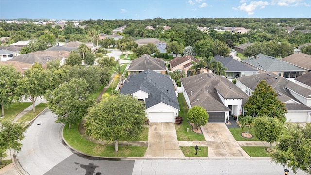 12721 Avelar Creek Dr, Riverview, FL 33578 - aerial view of residential area