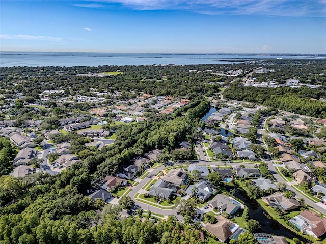 910 Kingscote Ct, Safety Harbor, FL 34695 - photo 39