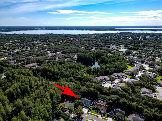 910 Kingscote Ct, Safety Harbor, FL 34695 - photo 36