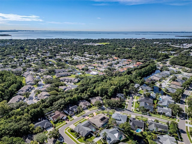 910 Kingscote Ct, Safety Harbor, FL 34695 - photo 38