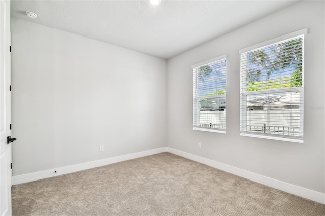 6605 N Nebraska Ave Unit 23, Tampa, FL 33604 - photo 9
