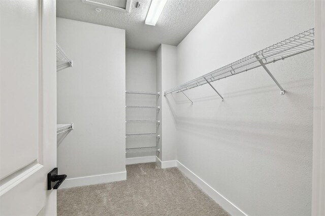 6605 N Nebraska Ave Unit 23, Tampa, FL 33604 - photo 32