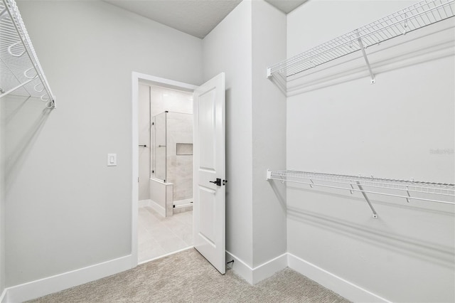 6605 N Nebraska Ave Unit 23, Tampa, FL 33604 - photo 33