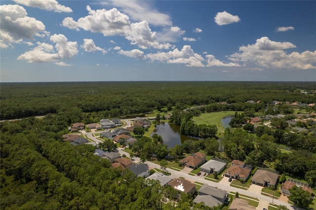 16304 Wild Mallard Dr, Odessa, FL 33556 - photo 43