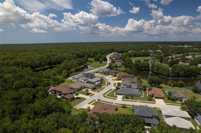 16304 Wild Mallard Dr, Odessa, FL 33556 - photo 45