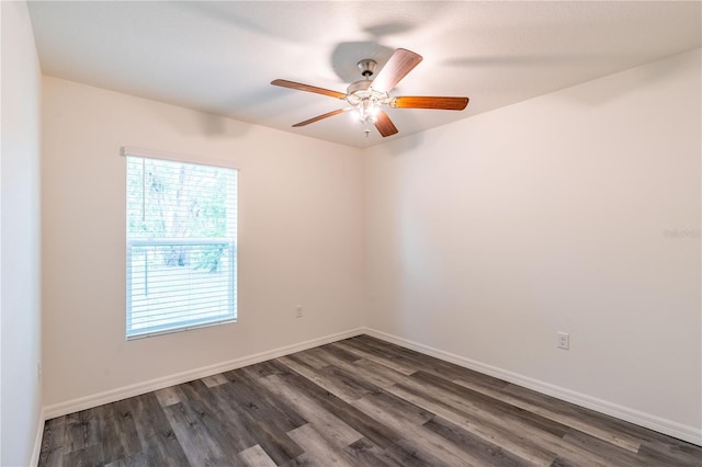 9016 Water Chestnut Dr, Temple Terrace, FL 33637 - photo 32