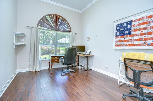 2504 Oak Landing Dr, Brandon, FL 33511 - office space with ornamental molding and wood finished floors