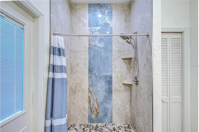 2504 Oak Landing Dr, Brandon, FL 33511 - bathroom with a closet and tiled shower