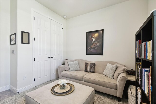 6211 Sea Air Dr, Apollo Beach, FL 33572 - photo 21