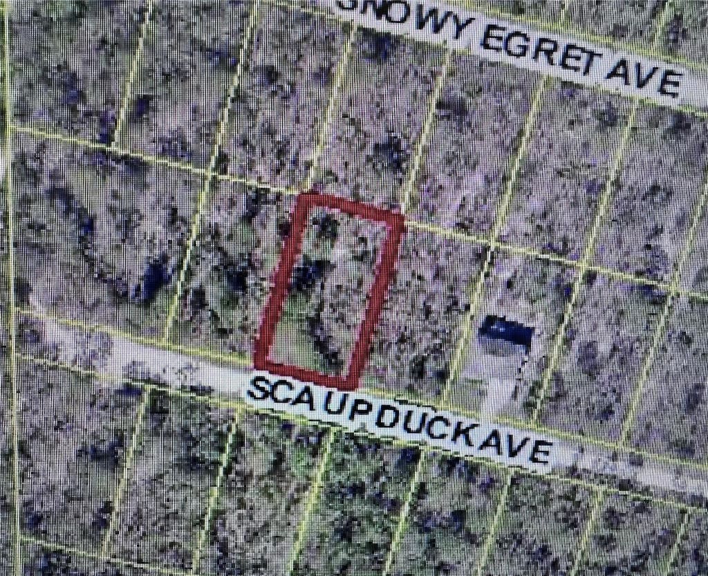 Scaup Duck Ave, Weeki Wachee, FL 34614