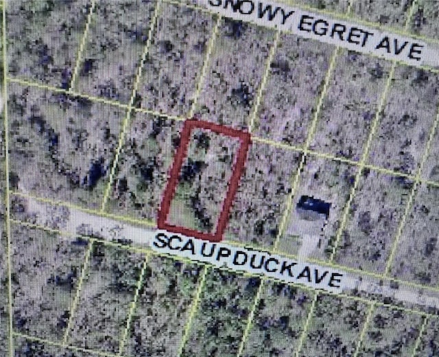 Scaup Duck Ave, Weeki Wachee, FL 34614