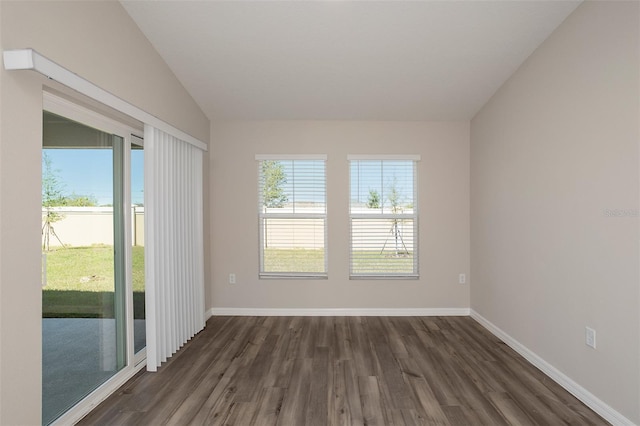 14817 Summer Branch Dr, Lithia, FL 33547 - photo 14