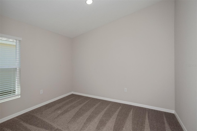 14817 Summer Branch Dr, Lithia, FL 33547 - photo 21