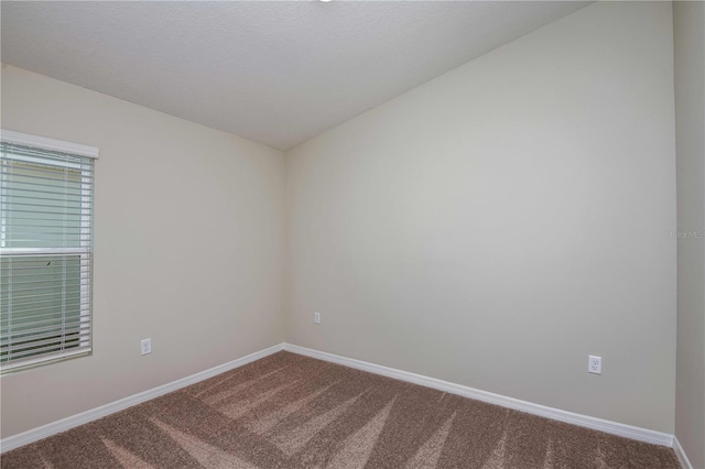 14817 Summer Branch Dr, Lithia, FL 33547 - photo 29