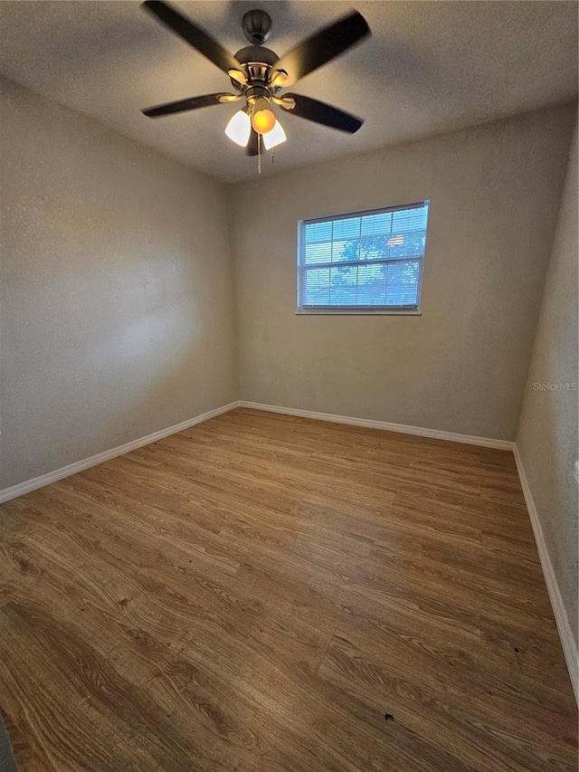 7001 60th St N, Pinellas Park, FL 33781 - photo 8