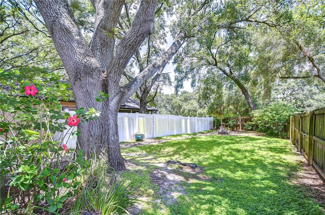 512 Pinewalk Dr, Brandon, FL 33510 - view of fenced backyard