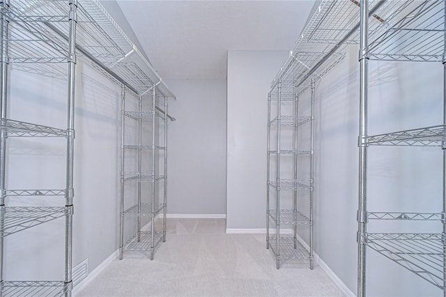512 Pinewalk Dr, Brandon, FL 33510 - spacious closet with carpet floors
