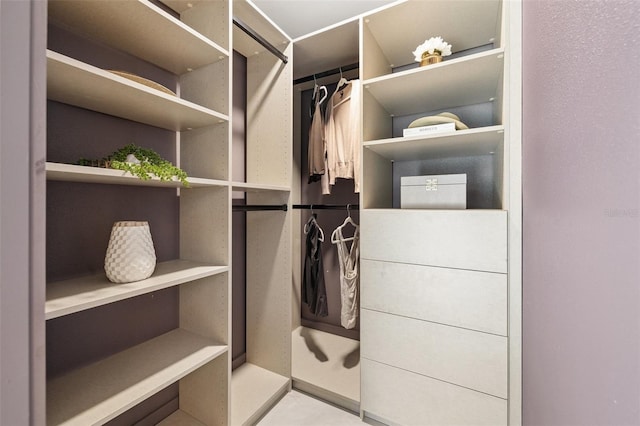 3197 Walnut St NE, Saint Petersburg, FL 33704 - view of walk in closet