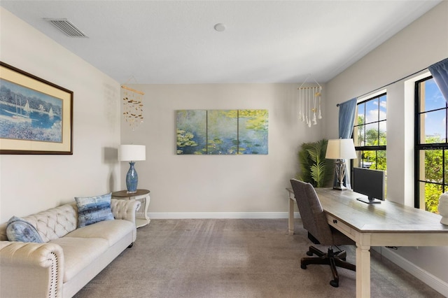 12821 Satin Lily Dr, Riverview, FL 33579 - office space featuring carpet flooring