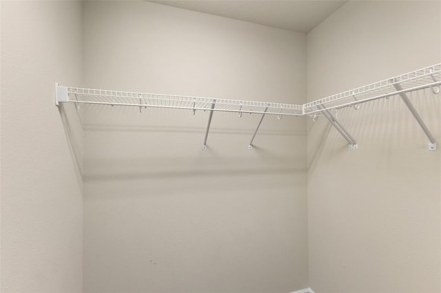 12821 Satin Lily Dr, Riverview, FL 33579 - view of walk in closet