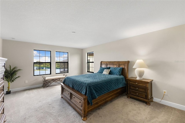 12821 Satin Lily Dr, Riverview, FL 33579 - bedroom featuring light colored carpet and a textured ceiling