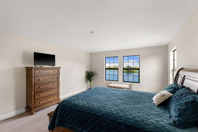 12821 Satin Lily Dr, Riverview, FL 33579 - bedroom featuring multiple windows and light colored carpet