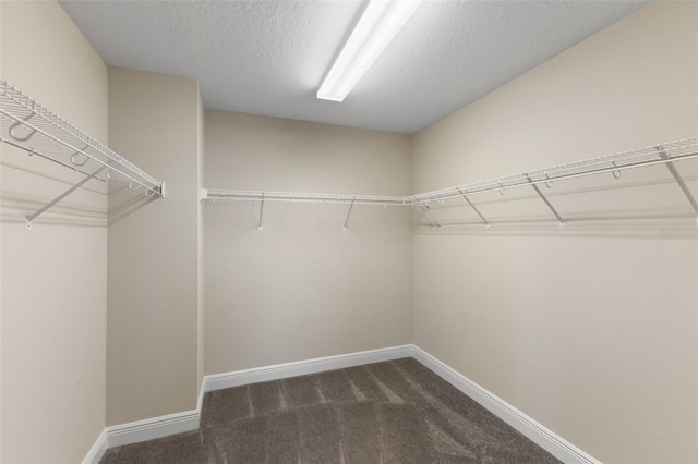12821 Satin Lily Dr, Riverview, FL 33579 - walk in closet featuring dark carpet