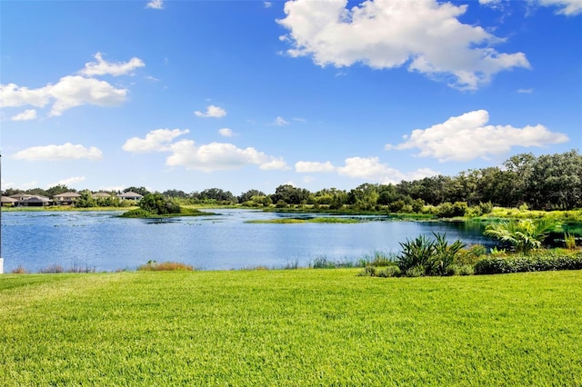 12821 Satin Lily Dr, Riverview, FL 33579 - water view