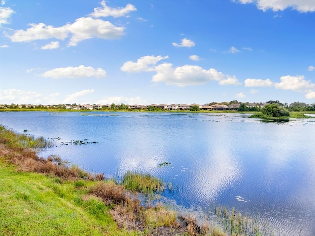 12821 Satin Lily Dr, Riverview, FL 33579 - water view