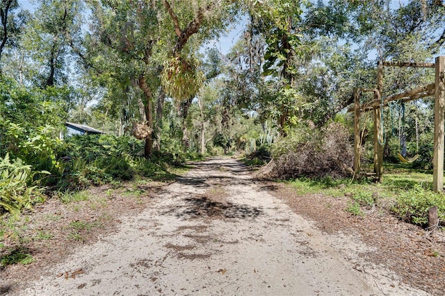 6924 Valrie Ln, Riverview, FL 33569 - view of road