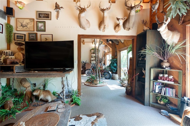 6924 Valrie Ln, Riverview, FL 33569 - view of carpeted living area