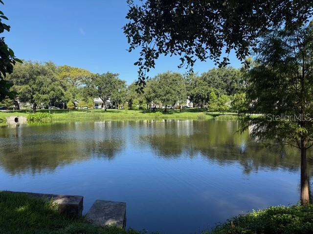 1415 7th Ave N, Saint Petersburg, FL 33705 - photo 29