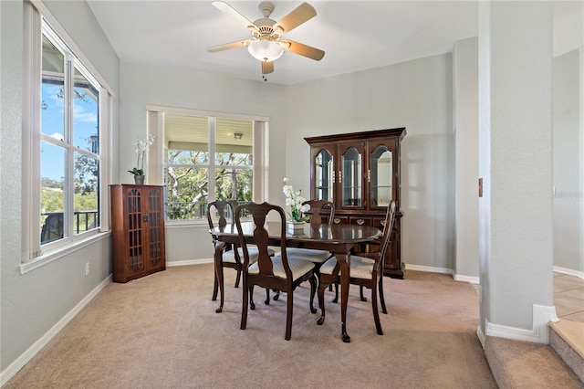 389 Grand Bay Dr, Palm Harbor, FL 34683 - photo 19