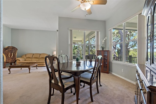 389 Grand Bay Dr, Palm Harbor, FL 34683 - photo 20