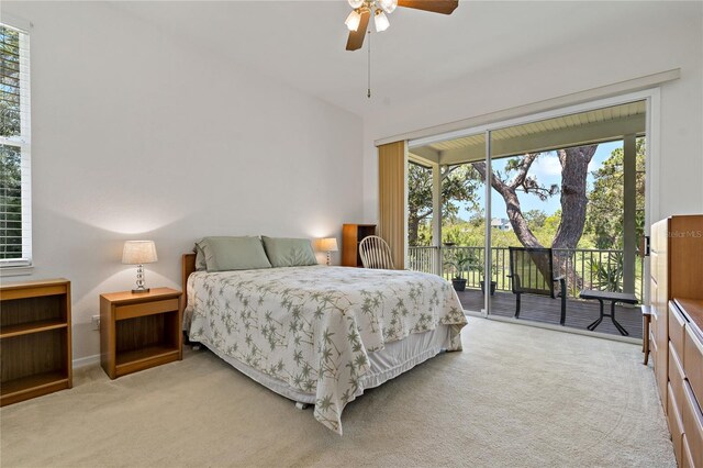 389 Grand Bay Dr, Palm Harbor, FL 34683 - photo 21