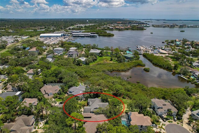389 Grand Bay Dr, Palm Harbor, FL 34683 - photo 43