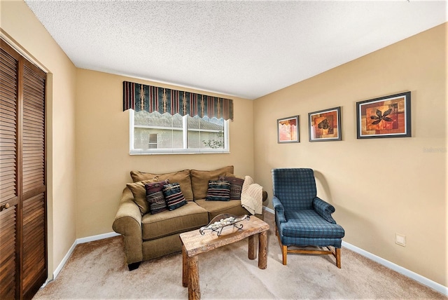6709 Peachtree Dr, Temple Terrace, FL 33617 - living room featuring carpet and a textured ceiling