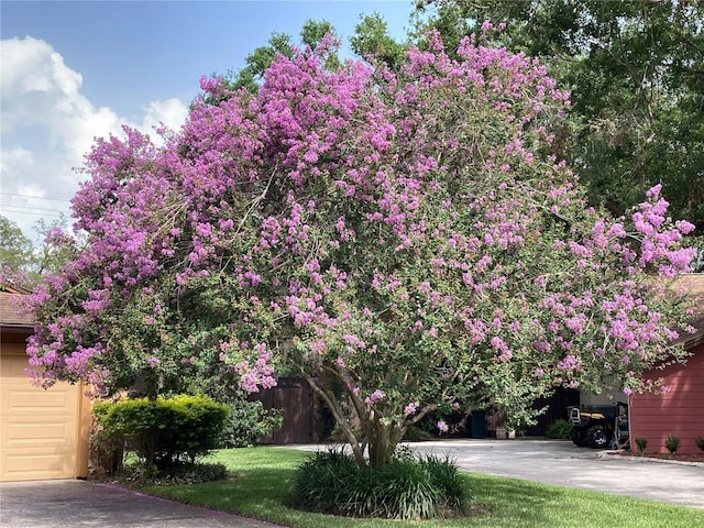 6709 Peachtree Dr, Temple Terrace, FL 33617 - view of front of house featuring driveway