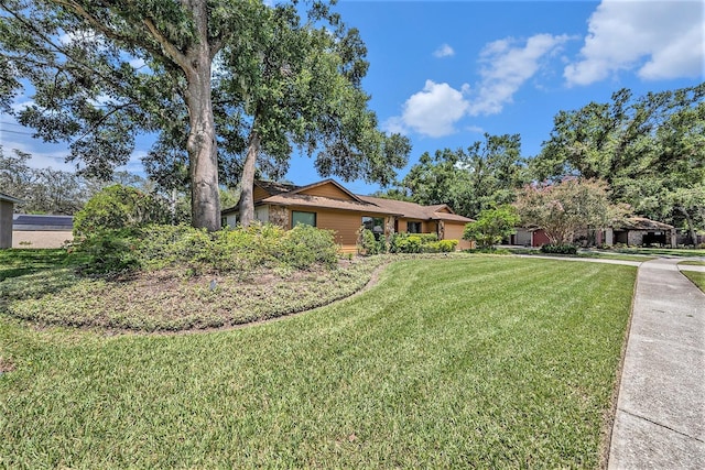 6709 Peachtree Dr, Temple Terrace, FL 33617 - ranch-style house with a front yard