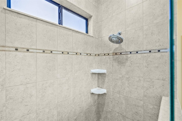 15420 27th Ct E, Parrish, FL 34219 - bathroom view of a tile shower