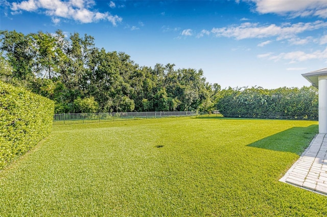 15420 27th Ct E, Parrish, FL 34219 - view of yard