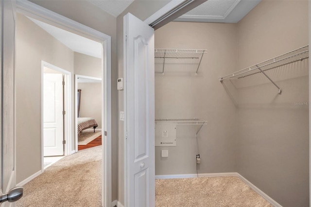 12424 White Bluff Rd, Hudson, FL 34669 - walk in closet featuring carpet flooring