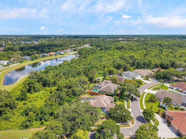 9202 Brindlewood Dr, Odessa, FL 33556 - photo 69